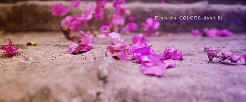 Johnrei + Nichole {Save The&nbsp;Date}